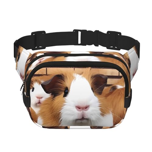 Gürteltasche für Meerschweinchen, klein, modisch, leicht, für Damen und Herren, Laufen, Workout, Wandern, Reisen von KKLWEGU