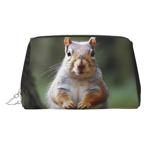 KKLWEGU Make-up-Tasche aus Eichhörnchenleder, wasserdicht, Kosmetiktasche, Organizer, kleine Make-up-Tasche, mit Reißverschluss, tragbare Reise-Kulturbeutel für Damen und Mädchen, silber von KKLWEGU