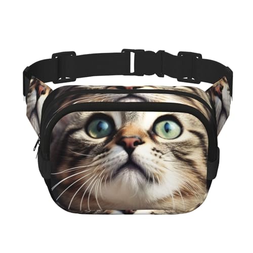 Gürteltasche für Damen und Herren, kleine modische Umhängetasche, leichte Schultertasche, Brusttasche, Katze, Bauchtasche für Laufen, Workout, Wandern, Reisen Gürteltasche für Damen und Herren, kleine modische Umhängetasche, leichte Schultertasche, Brusttasche, Katze, Bauchtasche für Laufen, Workout, Wandern, Reisen von KLLTYHMU