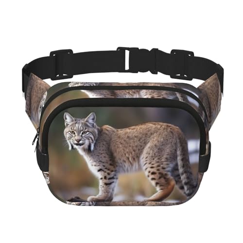 Gürteltasche für Damen und Herren, kleine modische Umhängetasche, leichte Schultertasche, Brusttasche, wilder Rotluchs, Bauchtasche für Laufen, Workout, Wandern, Reisen Gürteltasche für Damen und Herren, kleine modische Umhängetasche, leichte Schultertasche, Brusttasche, wilder Rotluchs, Bauchtasche für Laufen, Workout, Wandern, Reisen von KLLTYHMU