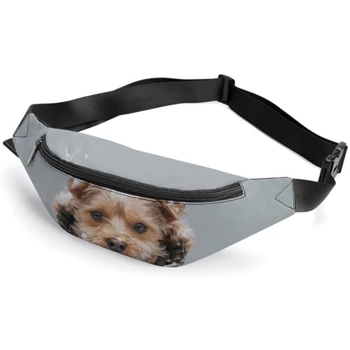 Bauchtasche für Herren und Damen, Gürteltasche, Welpe im Schnee, Crossbody-Tasche für Reisen, Spazierengehen, Laufen, Bauchtasche, Farbe: 6, 36 x 15 cm, Farbe-6, 36*15cm von KLOPH