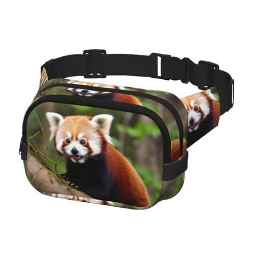 Gürteltasche für Herren und Damen, Umhängetasche, kleiner roter Panda, Bauchtasche, Bauchtasche, Schwarz, Einheitsgröße, Schwarz , Einheitsgröße Gürteltasche für Herren und Damen, Umhängetasche, kleiner roter Panda, Bauchtasche, Bauchtasche, Schwarz, Einheitsgröße, Schwarz , Einheitsgröße von KLOPH