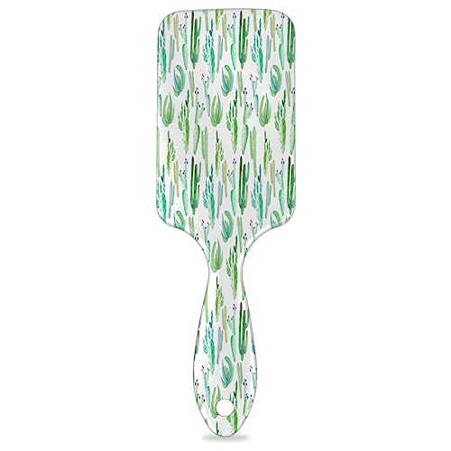 Kaktusgras Grün Paddel Haarbürste für Frauen Haarbürste Weiche Luftkissenbürste für lockiges dickes dünnes langes Haar Pflege von KOBLEN