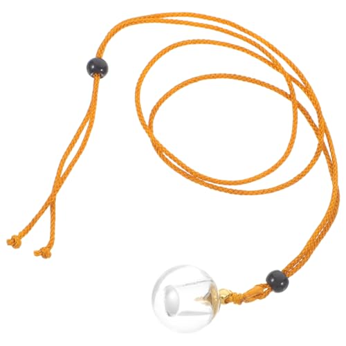 KOMBIUDA Halskette Mit Kleinem Glasfläschchenanhänger Wasserdichtes Design Zum Schutz Wertvoller Andenken Tragbarer Schmuck Für Frauen von KOMBIUDA