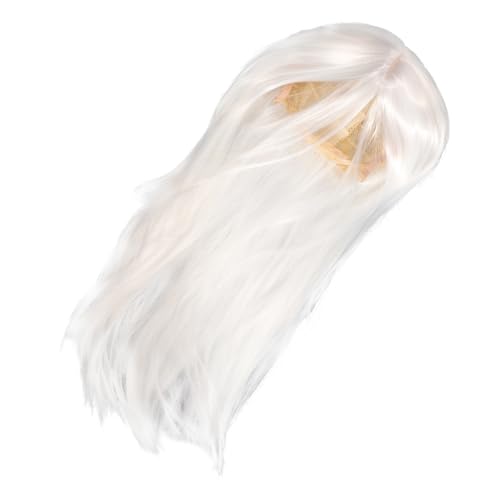 KOMBIUDA Weiße Lange Perücke Für Männer Aus Hochtemperaturseide Synthetische Perücke Für Cosplay Und Kostüm Glatte Haarperücke von KOMBIUDA