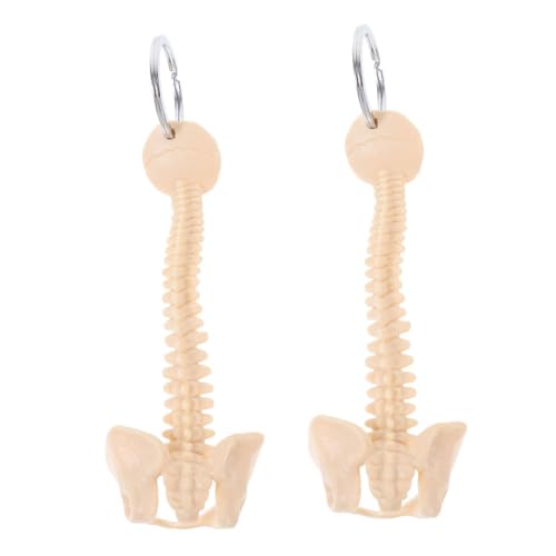 KONTONTY 2stücke Menschliche Wirbelsäule Schlüsselanhänger Anatomischer Schlüsselanhänger Kleines Wirbelsäulenmodell Mini-lehrmodell Biologie-klassenzimmer-lernhilfe Für Arztringe von KONTONTY