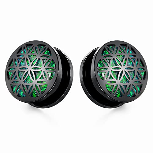 KOOBDY 2 STÜCKE 8mm-25mm Edelstahl Ohr Messgeräte Geschraubt Flesh Tunnel Bahre Piercing Schmuck Für Frauen von KOOBODY