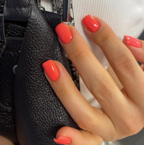 KQueenest Press on Nails Kurz mit Kleber – Sheer Koralle Orange Nägel zum Aufkleben Kurz, Einfarbig Eckig Fake Nails, Quadratische Künstliche Nägel Set für Frauen & Mädchen, 24 Stück von KQueenest