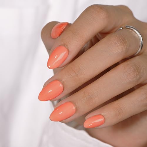 KQueenest Soft Gel Press on Nails Kurz – Sheer Koralle Orange Nägel zum Aufkleben Kurz Runde, Einfarbig Fake Nails mit Kleber, Glänzend Hell Mandel Künstliche Nägel Set für Frauen & Mädchen, 24 Stück von KQueenest