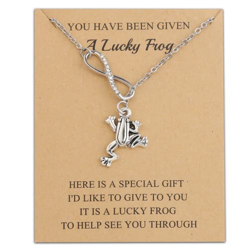 KUIYAI Frosch-Geschenk Lucky Frog Jewelry It Is A Lucky Frog To Help See You Through Inspirational Gift, S von KUIYAI