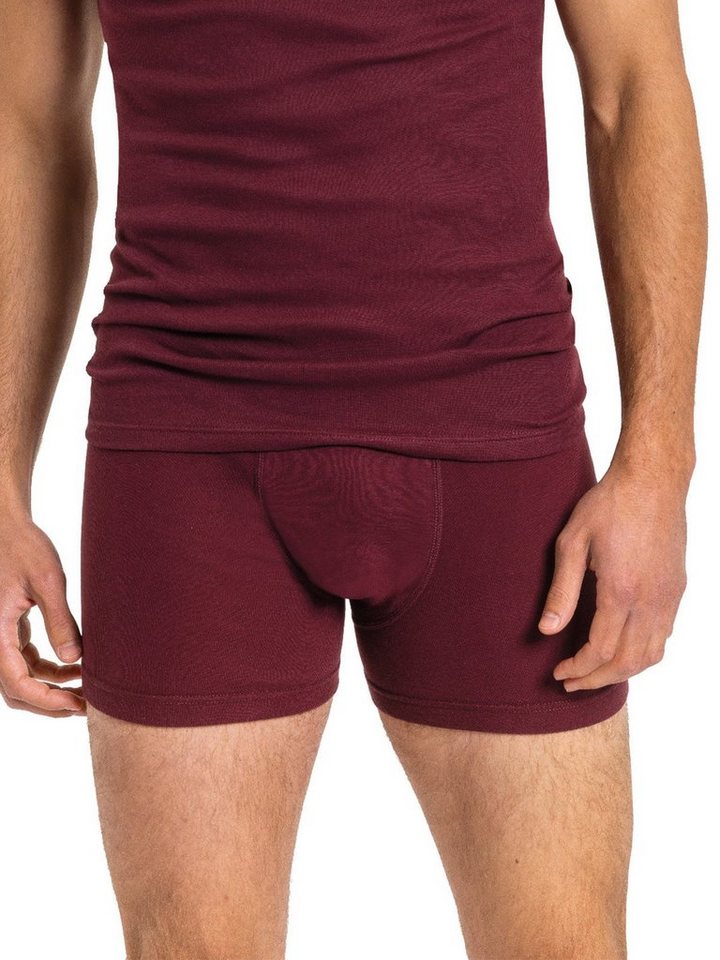KUMPF Retro Pants Herren Pants 2er Pack Bio Cotton (Packung, 2-St) hohe Markenqualität von KUMPF