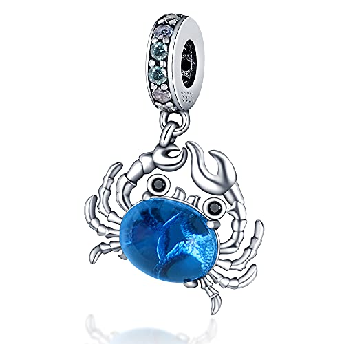KUNSIR Charm Anhänger Damen 925 Sterling Silber für Armband Charms Beads passend für Pandora Armband und Halskette, Kompatibel mit Europäischen Armbänder für Frauen Mädchen C2 von KUNSIR