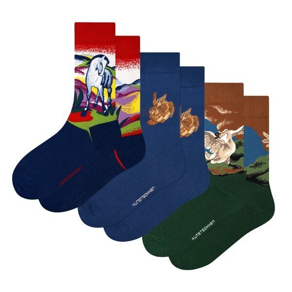 KUNSTSOKKEN Kunst Socken Set - Nahtlose Bunte Socken aus Bio-Baumwolle Mix - Witzige Socken Lustige Socken Verrückte Socken von KUNSTSOKKEN