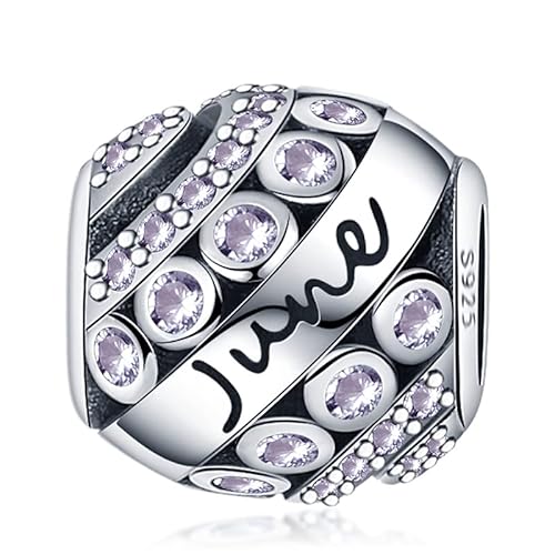 KUNVONIC Damen Charm Anhänger Geburtsstein für Armband 925 Sterling Silber 12 Geburtsstein Charms Beads passend für Pandora Armband, Kompatibel mit Europäischen Armband und Halskette für Frauen Mädche KUNVONIC Damen Charm Anhänger Geburtsstein für Armband 925 Sterling Silber 12 Geburtsstein Charms Beads passend für Pandora Armband, Kompatibel mit Europäischen Armband und Halskette für Frauen Mädche von KUNVONIC