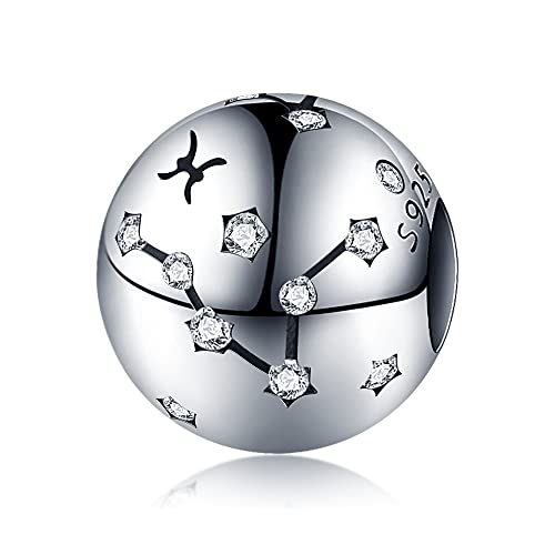 KUNVONIC Damen Charm Anhänger Sternzeichen für Armband 925 Sterling Silber 12 Sternbilder Charms Beads passend für Pandora Armband, Kompatibel mit Europäischen Armband und Halskette für Frauen Mädchen KUNVONIC Damen Charm Anhänger Sternzeichen für Armband 925 Sterling Silber 12 Sternbilder Charms Beads passend für Pandora Armband, Kompatibel mit Europäischen Armband und Halskette für Frauen Mädchen von KUNVONIC