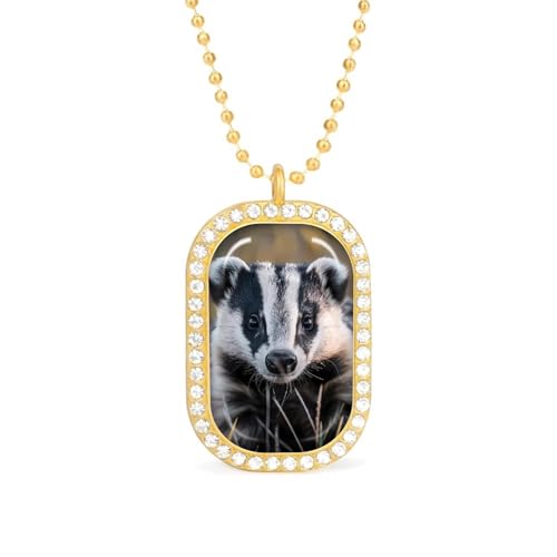 KWQDOZF Halskette mit Anhänger „US Badgers für Damen, modisch, quadratisch, Gold/Splitterkette, Diamant-Lünette von KWQDOZF
