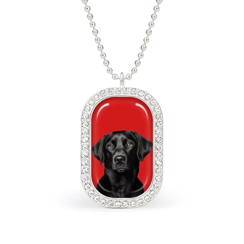 KWQDOZF Halskette mit schwarzem Labrador Retriever-Hund, modisches Bild, personalisierter Foto-Erinnerungsanhänger, Schmuck für Männer und Frauen KWQDOZF Halskette mit schwarzem Labrador Retriever-Hund, modisches Bild, personalisierter Foto-Erinnerungsanhänger, Schmuck für Männer und Frauen von KWQDOZF