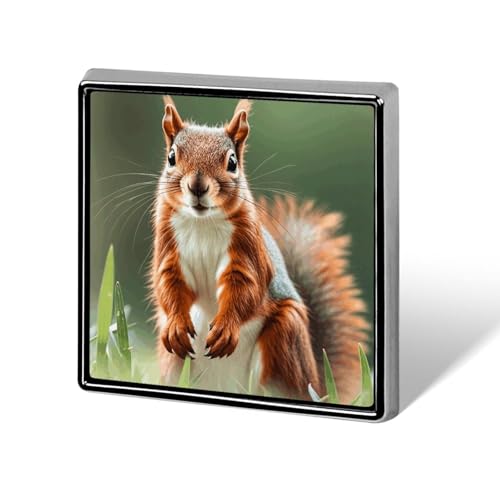 Quadratische Brosche aus Aluminiumlegierung, niedliche Eichhörnchen, Revers, modische Anstecker, Dekoration für Männer und Frauen, Rucksäcke, Kleidung, Jacken, Geschenk von KWQDOZF