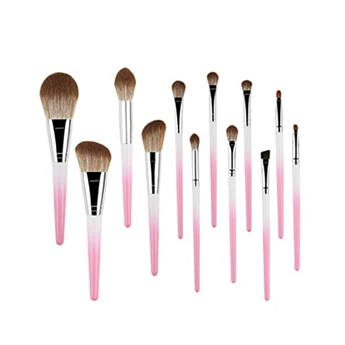 12 PCs Make -up Pinsel Set Cosmetic Lid Shadow Eyeliner Foundation Bluts Beauty Make -up Pinsel (D) von KXQYIKYI