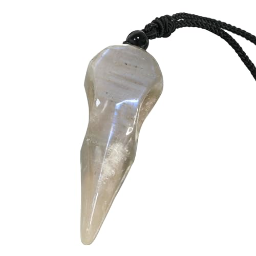 KYEYGWO Krähe Skelett Halskette für Damen und Herren, Reiki Poliertes Heilende Kristall Anhänger Halskette Amulett mit Verstellbarem Nylonseil KYEYGWO Krähe Skelett Halskette für Damen und Herren, Reiki Poliertes Heilende Kristall Anhänger Halskette Amulett mit Verstellbarem Nylonseil von KYEYGWO