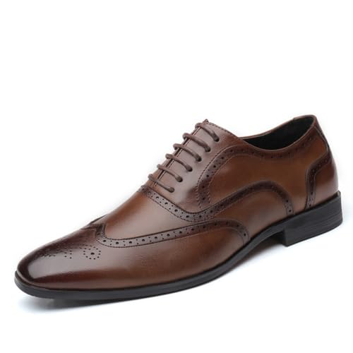 KYOESCAI Anzugschuhe Herren Schnürhalbschuhe Hochzeitsschuhe Business Derby Oxford Schuhe Klassischer Brogue Schuhe,Braun,47 EU von KYOESCAI