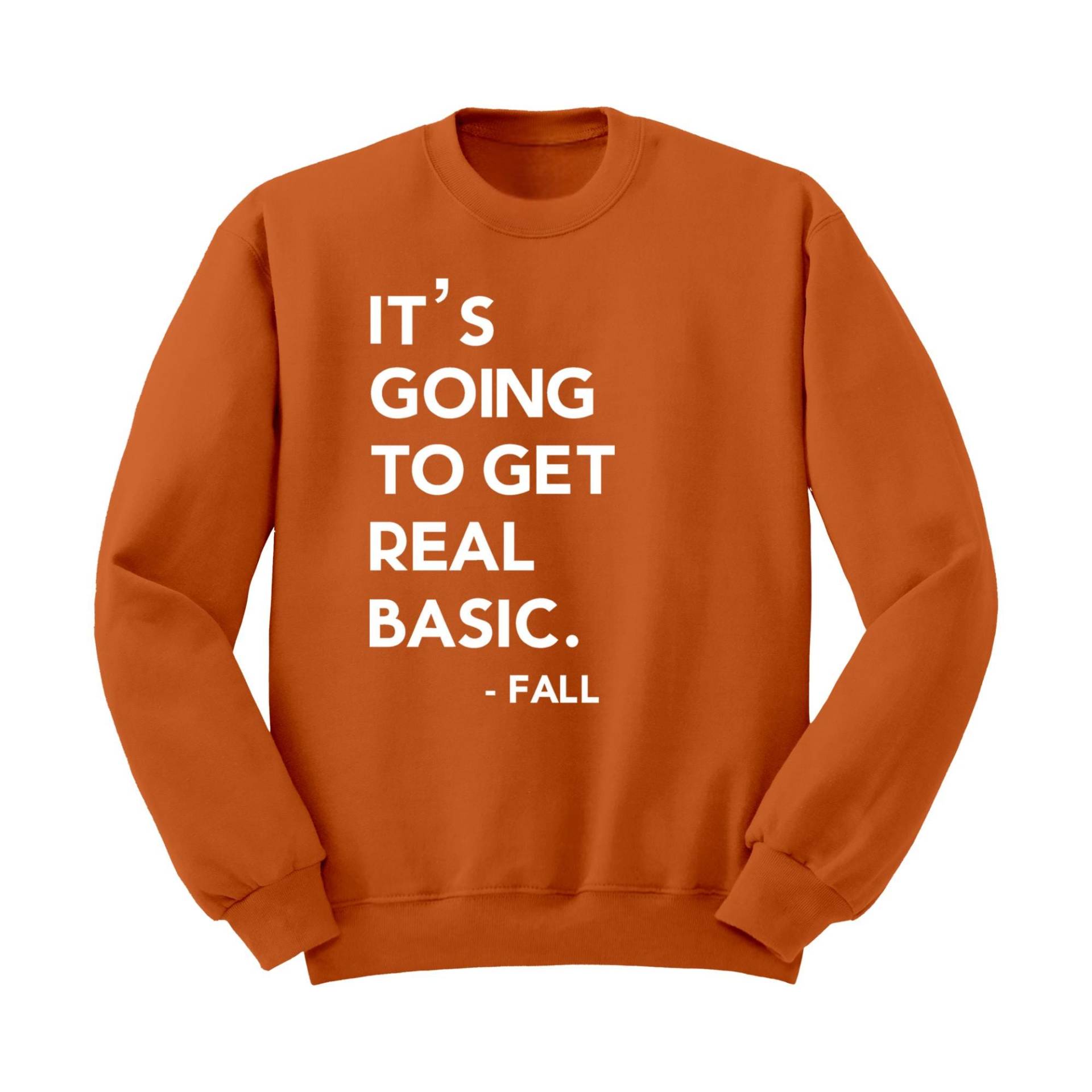 Pumpkin Sweatshirt Basic Herbst Cotton Crewneck - Kuscheliger Pullover von KaAnsDesigns