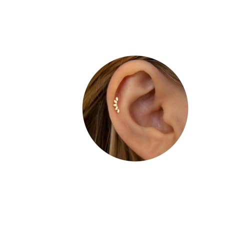 Kabwea 2 Pcs 18K Zierliche Climber Stud Ohrringe, Helix Piercings Silber 18K, Piercing Ohr, Piercing Set, Piercing, Tragus Piercing, Helix, Tragus Piercing Silber（1 Paar） von Kabwea