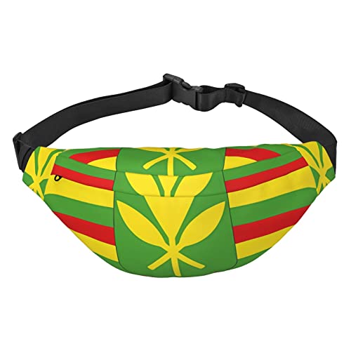 Flagge von Maryland, geeignet für Sport, Laufen, Reisen, Outdoor-Bodypacks, Unisex, für Damen und Herren, Hawaiianische Flagge, Einheitsgröße, Fahrradrucksack von KadUe