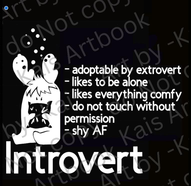 S-5xl T-Shirts Made By -Kai - Introvert, Ambivert, Extrovert S-5xl T-Shirts Made By -Kai - Introvert, Ambivert, Extrovert von KaisArtbook
