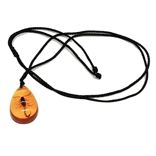 Kalastussaari Skorpion Anhänger Halskette, Bernstein -Look -Harz -Anhänger, zart gotischer Schmuck für Männer Frauen, gelbes Statement Stück von Kalastussaari