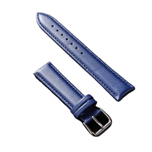 KanaAt LKQASD Echtes Lederarmband, weiches Material, Uhrenarmband, 12, 14, 16, 18, 20, 21, 22 mm, mit silberfarbener Edelstahl-Schnalle (Color : Blue, Size : 22mm) von KanaAt