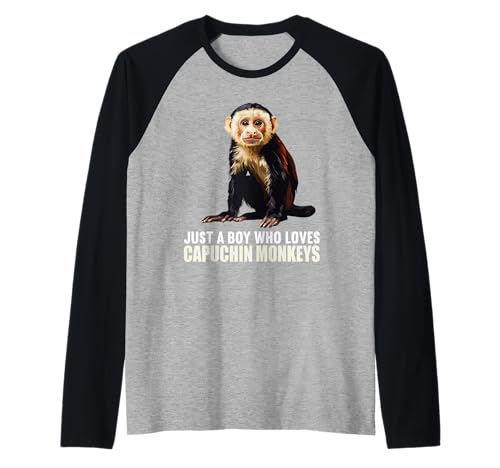 Herren Kapuzineraffen Kapuzineraffe Raglan Herren Kapuzineraffen Kapuzineraffe Raglan von Kapuzineraffen Kapuzineraffe Tier Shop