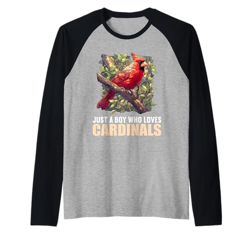 Herren Kardinal Vogel Raglan Herren Kardinal Vogel Raglan von Kardinal Vogel Tier Shop