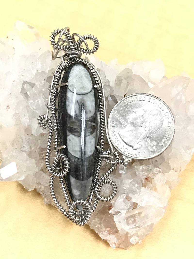 Clearance Wire Wrapped Orthoceras Fossil Anhänger von KarinsForgottenTreas
