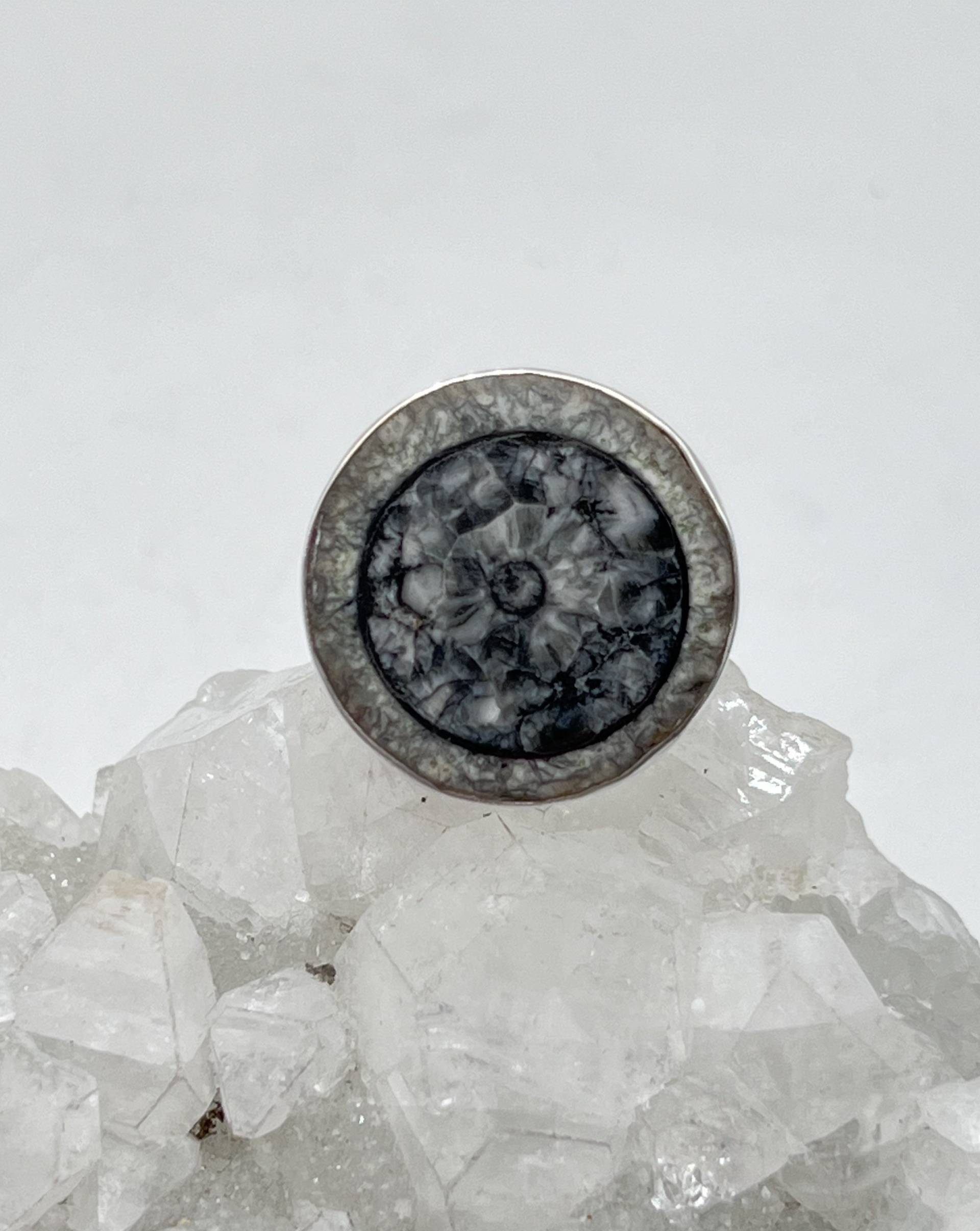 Orthoceras Fossil Auge Ring, Größe 33cm von KarinsForgottenTreas