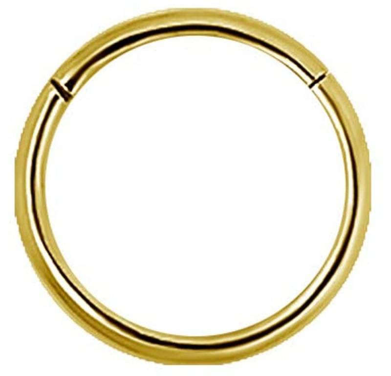 Karisma Nasenpiercing Edelstahl 316L Hinged Segmentring Charnier/Nasen Clicker Ring, Medusa Helix Piercing BHSR-20GA Stärke 0,8mm von Karisma