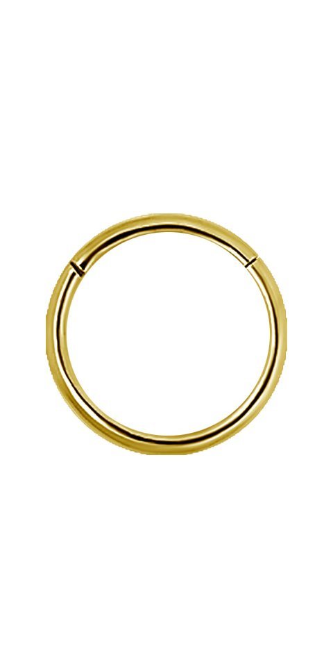 Karisma Piercing-Set Karisma Edelstahl 316L Hinged Segmentring Charnier/Nasen Clicker Ring Medusa Helix Piercing BHSR-20GA Stärke 0,8mm - Innendurchmesser 8 mm, Vergoldet von Karisma
