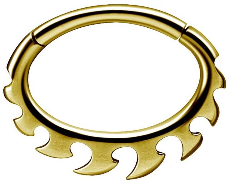 Karisma Piercing-Set Karisma Edelstahl 316L Hinged Septum/Daith Clicker Ring Ohrring Nase 1,2x8mm BSDX04 - Gold von Karisma
