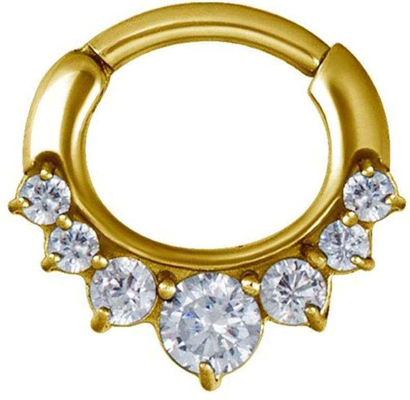 Karisma Piercing-Set Karisma Edelstahl Septum Clicker Curved Segment Ring Nasenring Nasenpiercing 08 Zirkonia Steine- 1,2x8mm JSRZC-12L - Vergoldet von Karisma
