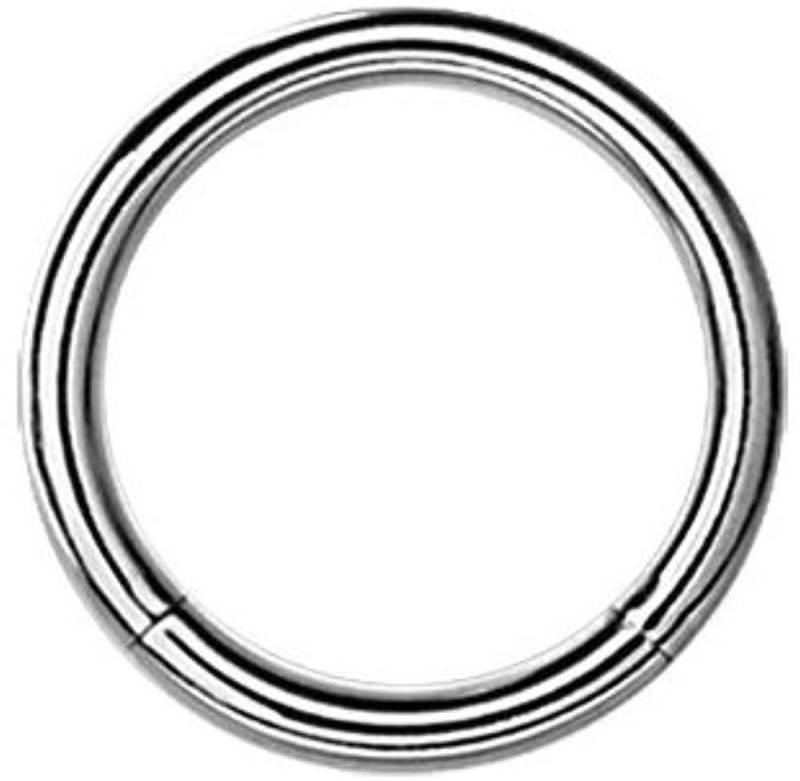 Karisma Piercing-Set Karisma Titan G23 Segment Ring Piercing Septum Nasenpiercing, Ohrpiercing Intim 1,2mm - 7.0 Millimeter von Karisma