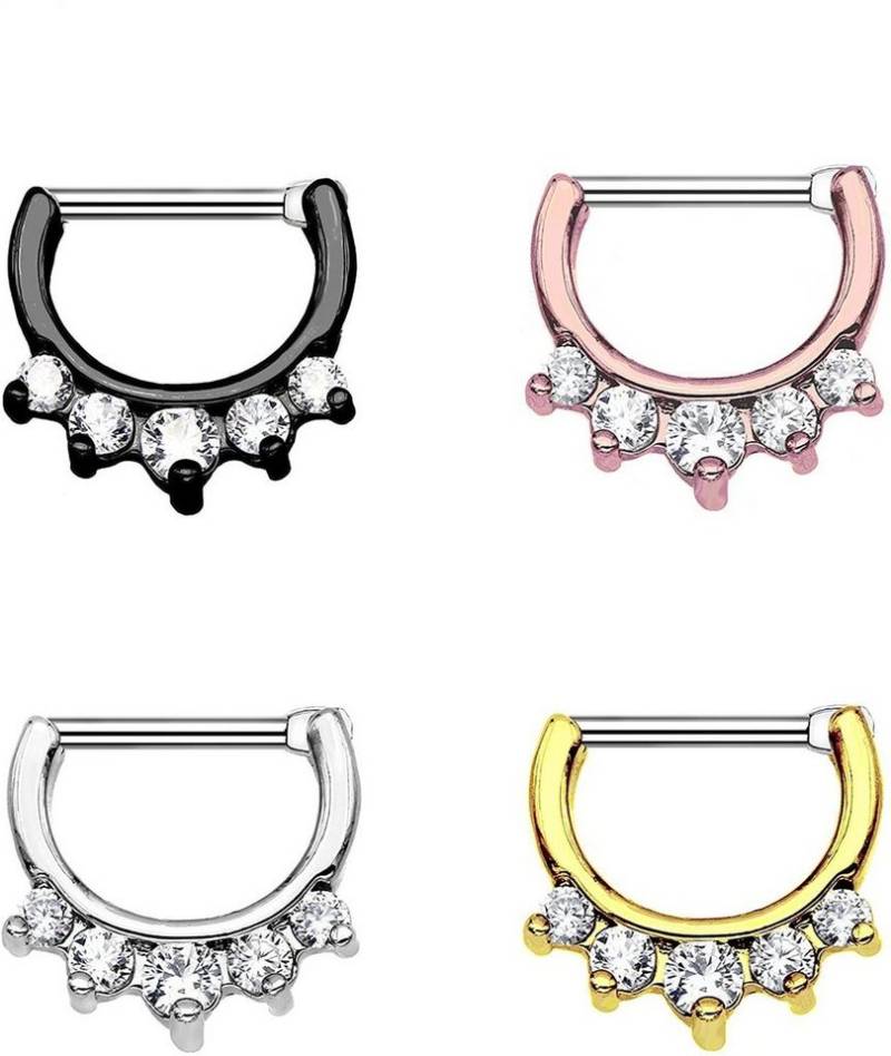 Karisma Nasenpiercing Karisma Titan G23 Septum Clicker Segment Ring Nasenring Nasenpiercing, Zirkonia- 1,2x8mm tsc-h10 - Schwarz von Karisma