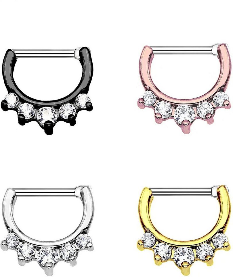 Karisma Piercing-Set Karisma Titan G23 Septum Clicker Segment Ring Nasenring Nasenpiercing Zirkonia- 1,2x8mm tsc-h10 - Silber von Karisma