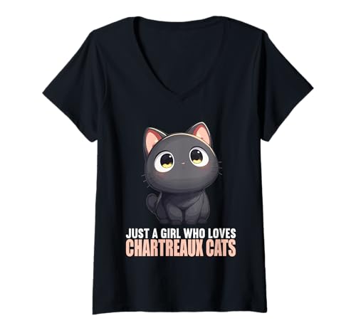 Damen Kartäuser Katzen Kartäuser Katze T-Shirt mit V-Ausschnitt Damen Kartäuser Katzen Kartäuser Katze T-Shirt mit V-Ausschnitt von Kartäuser Katzen Kartäuser Katze Tier Shop