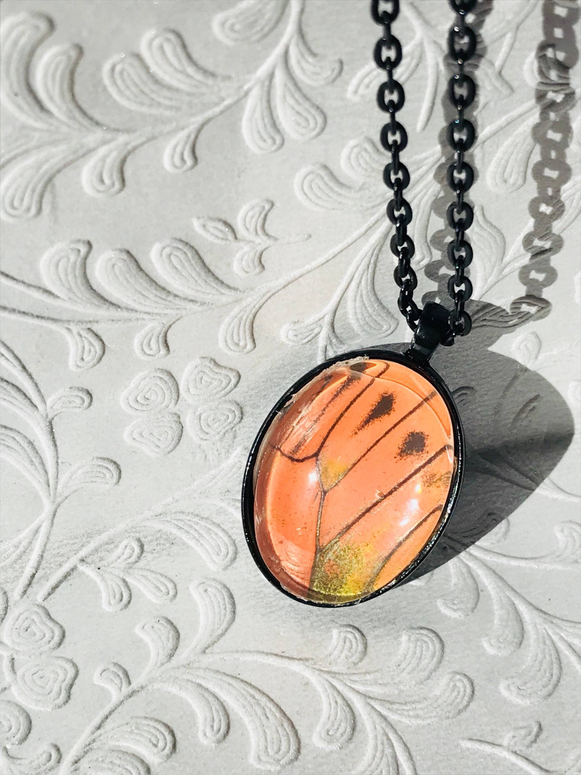 Echte Orange Schmetterlingsflügel Halskette von KatekaisAlchemy