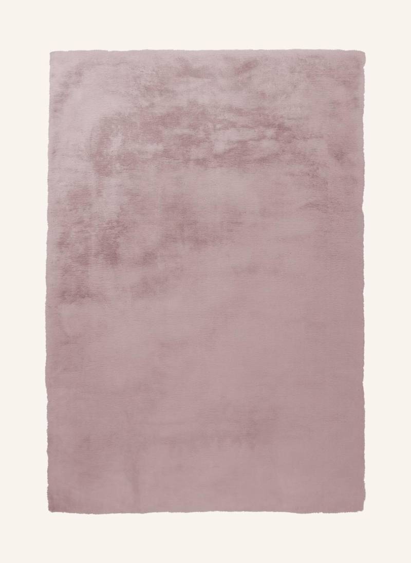 Kayoom Hochflor Teppich Rabbit 125 rosa von Kayoom