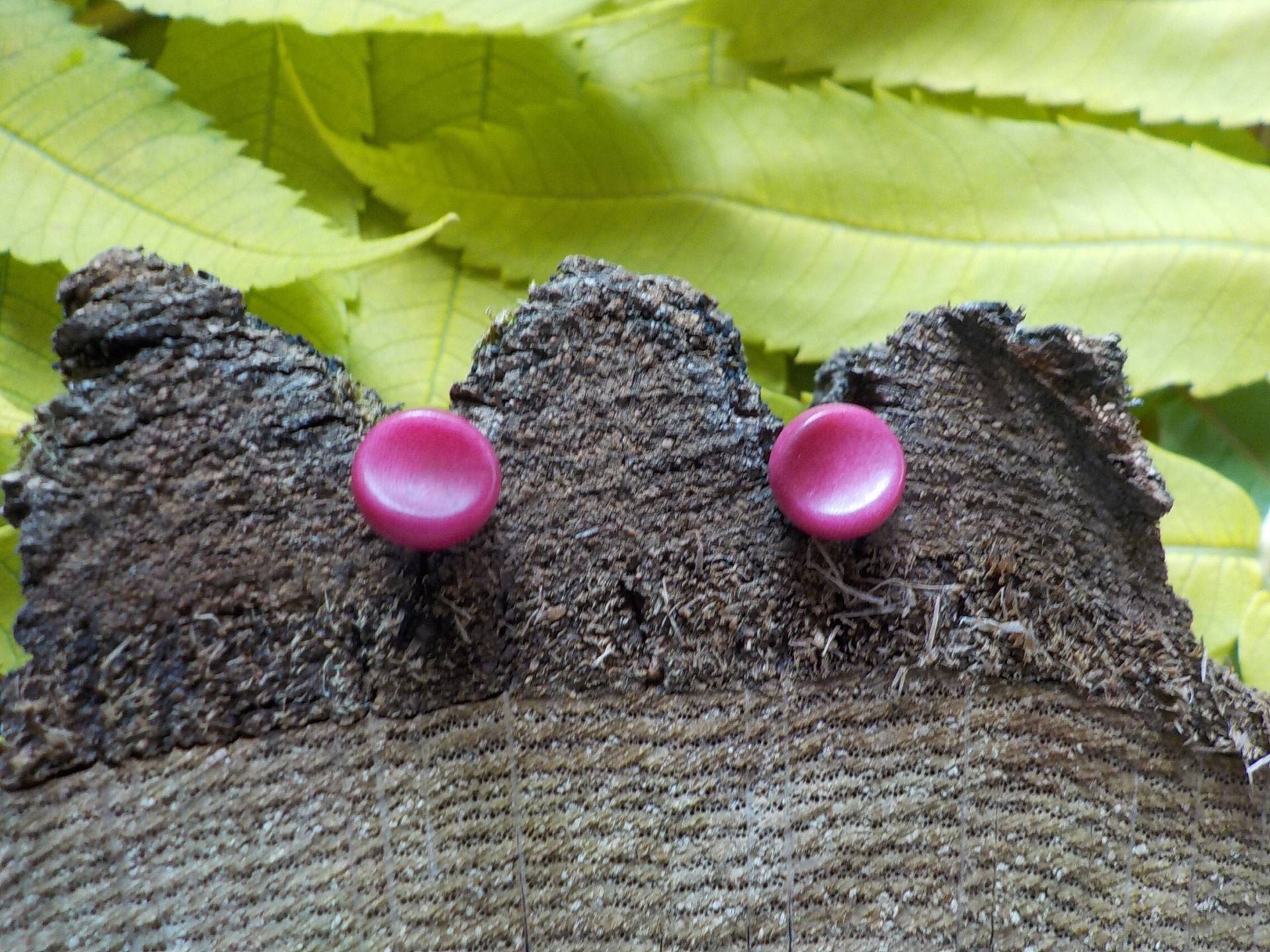 Tagua Ohrstecker Aus Kolumbien, Ca. 9 Mm, Handarbeit Tagua Ohrstecker Aus Kolumbien, Ca. 9 Mm, Handarbeit von KazuriGermany