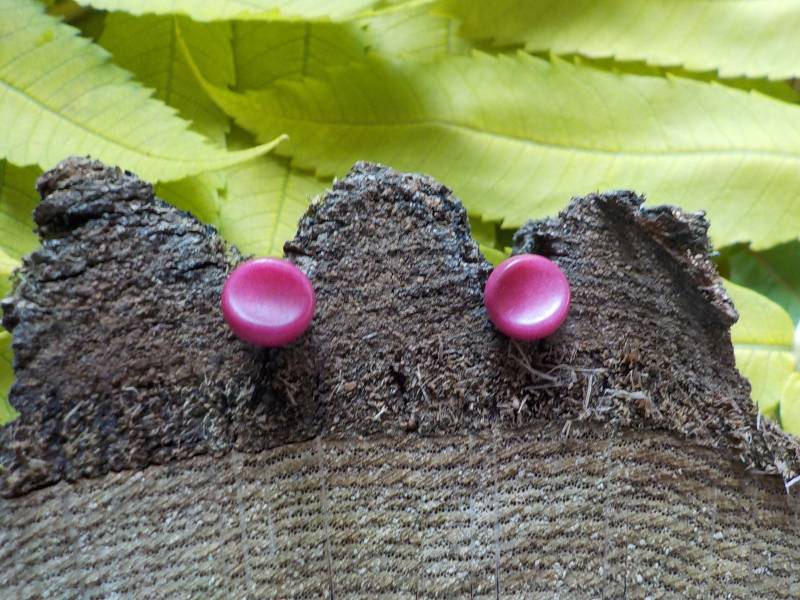 Tagua Ohrstecker Aus Kolumbien, Ca. 9 Mm, Handarbeit Tagua Ohrstecker Aus Kolumbien, Ca. 9 Mm, Handarbeit von KazuriGermany