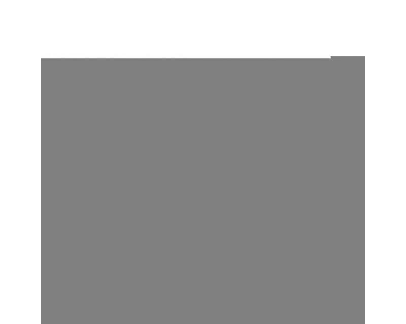 Keen NXIS EVO MID WP Wanderschuh von Keen