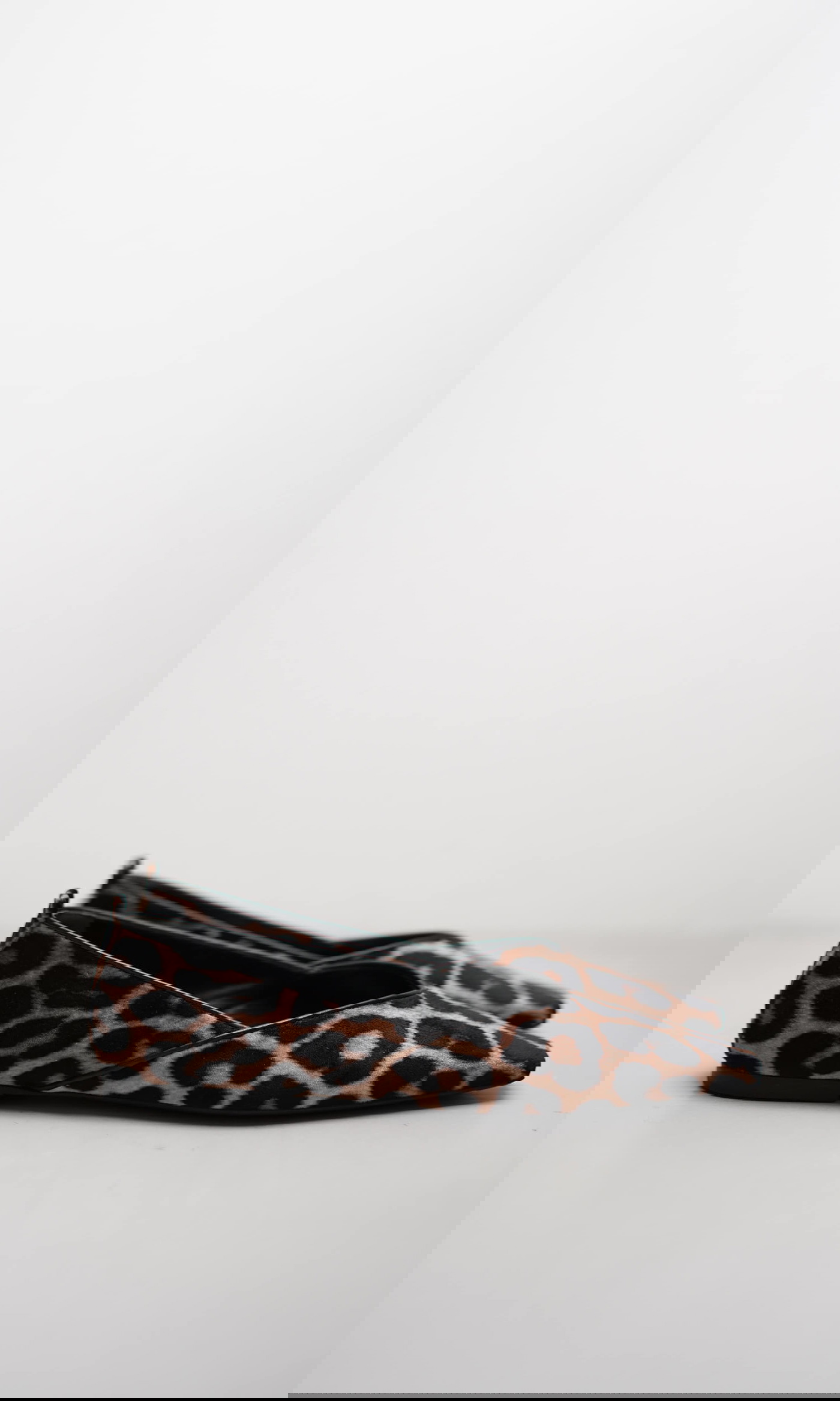 ALINA von Kennel & Schmenger