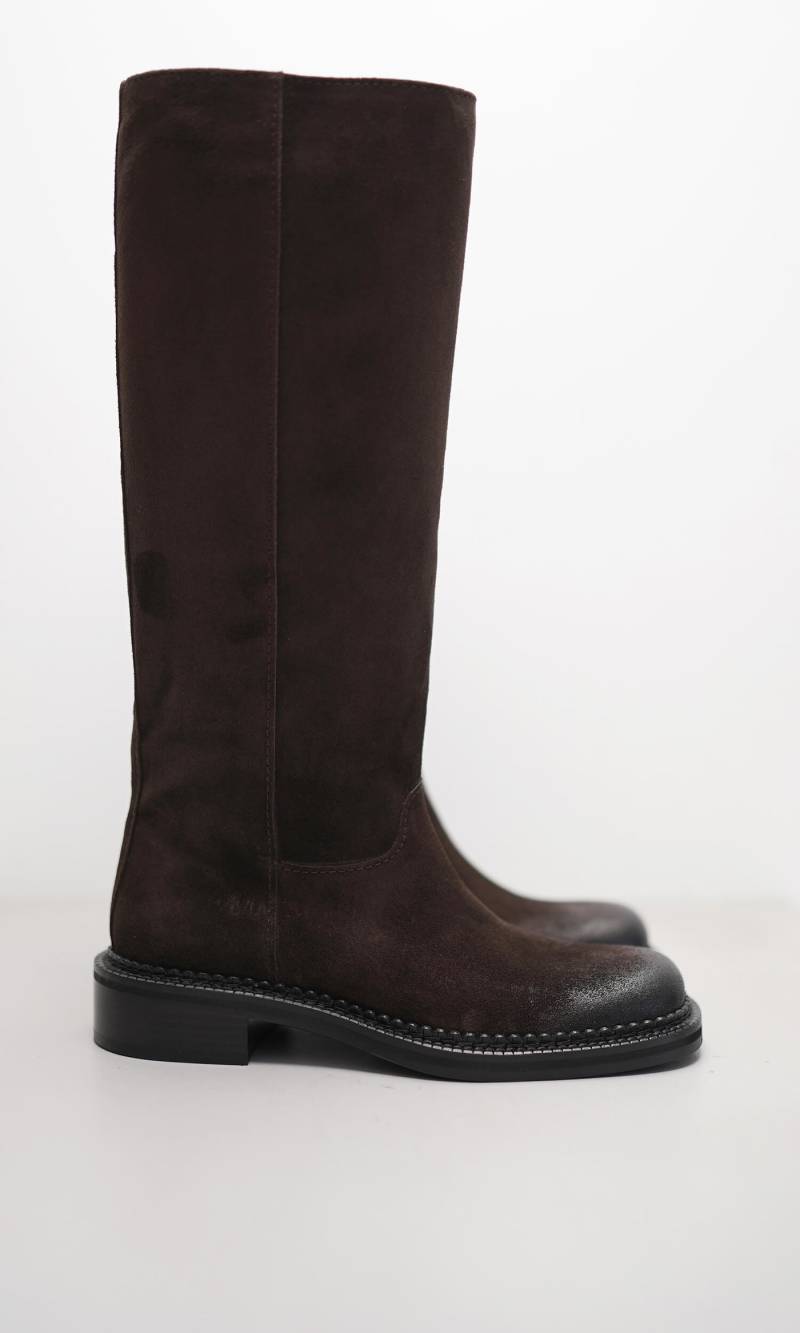 ALORA von Kennel & Schmenger